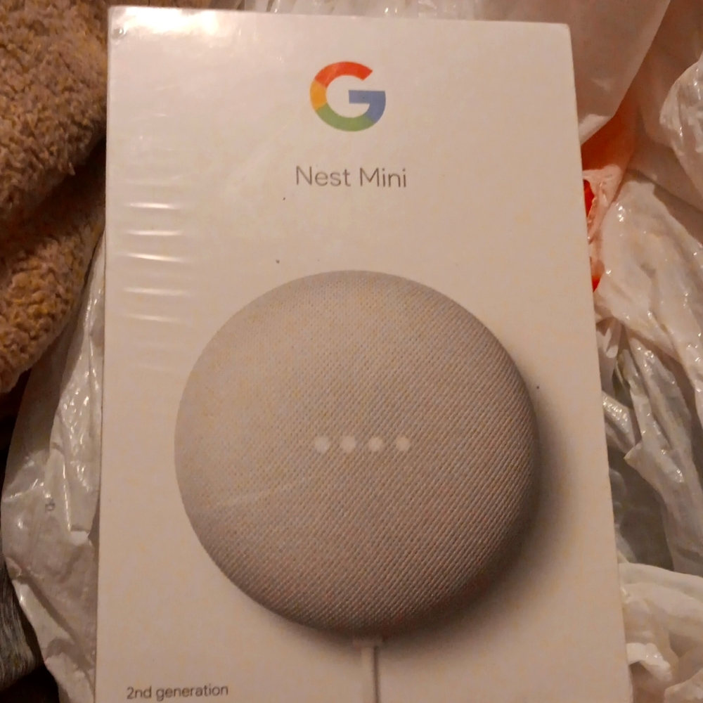 Google Nest Mini